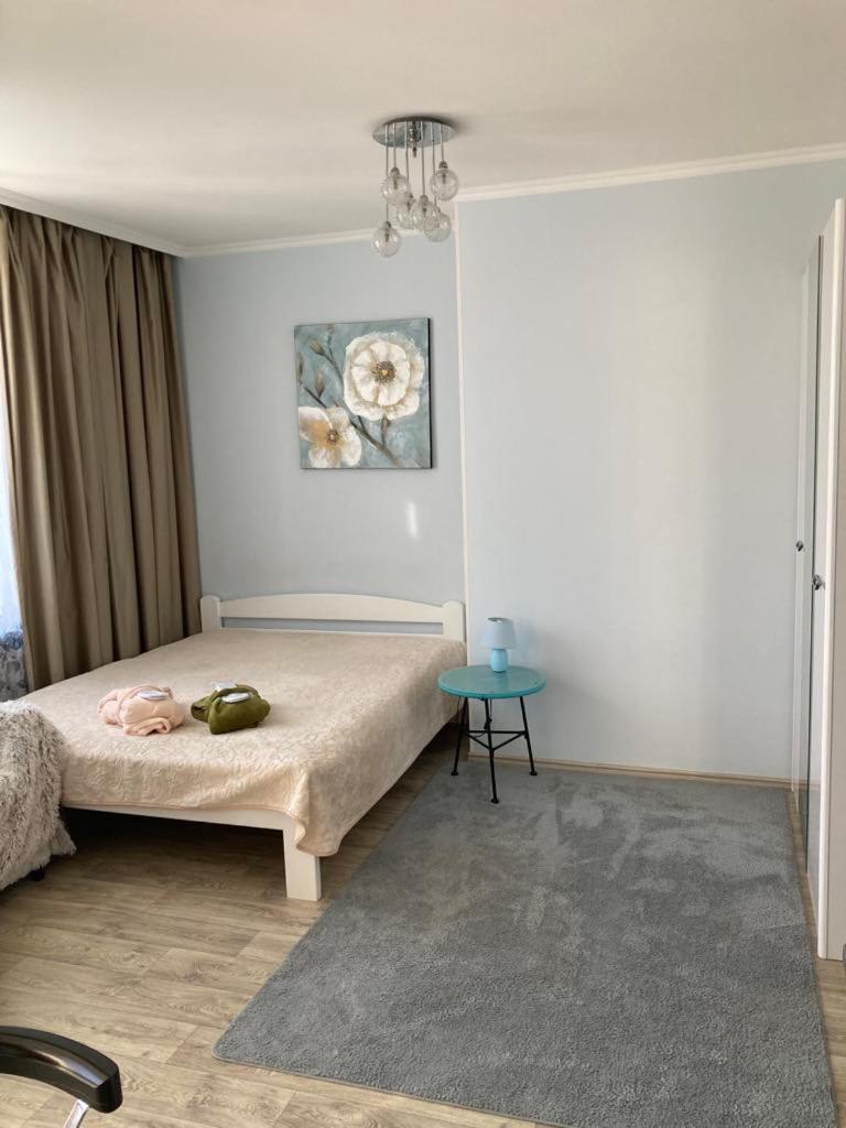 Apartments Fantasy 科托尔 外观 照片